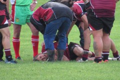 IMG_5515