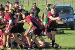 IMG_6640