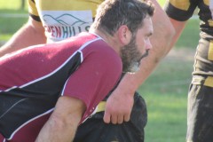 IMG_6642