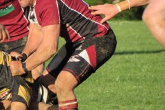 IMG_6684