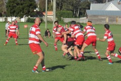 IMG_8135